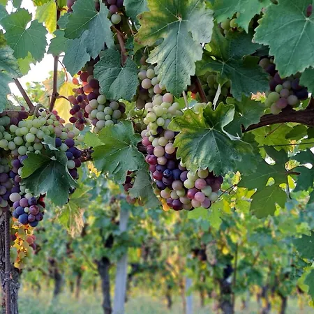 Casa Magica Casa vacanze *