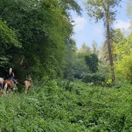 Casa Magica Casa vacanze